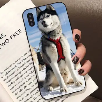 Yinuoda câine husky Telefon Caz pentru iPhone 8 7 6 6S Plus X 5S SE 2020 XR 11 12 pro XS MAX