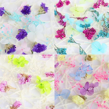 1Box Real de Flori Uscate Unghii Sfaturi de Decorare 3D Naturale, Flori Uscate Autocolante DIY Creativitatea Unghii Decalcomanii poloneză Instrumente de Manichiură
