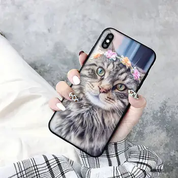 TOPLBPCS animale de companie pisica main coon Telefon Caz pentru iPhone 8 7 6 6S Plus X 5S SE 2020 XR 11 12mini pro XS MAX